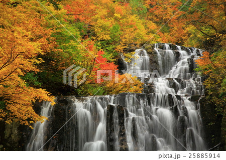 立又渓谷 二の滝の紅葉 立又渓谷 二の滝の紅葉 25885914