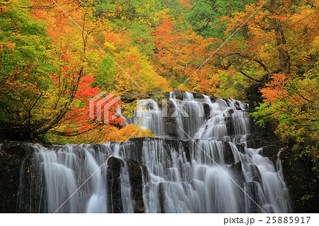立又渓谷 二の滝の紅葉 立又渓谷 二の滝の紅葉 25885917