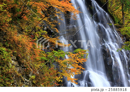 立又渓谷 一の滝の紅葉 立又渓谷 一の滝の紅葉 25885918