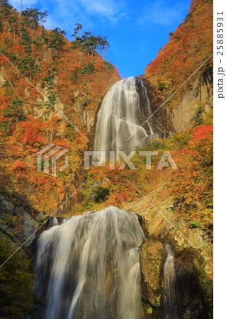 紅葉の安の滝 紅葉の安の滝 25885931