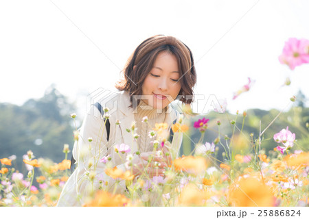 コスモス 女性 コスモス 女性 25886824
