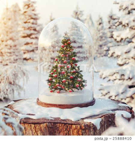 Cute little christmas tree 25888410