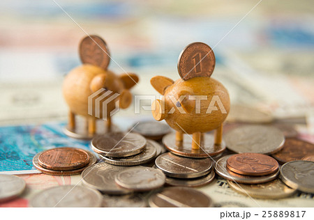 外貨　紙幣　コイン　豚 25889817
