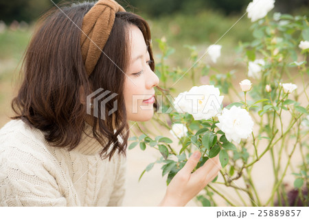 薔薇 女性 薔薇 女性 25889857