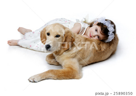 Little girl lying on golden retriever puppy Little girl lying on golden retriever puppy 25890350