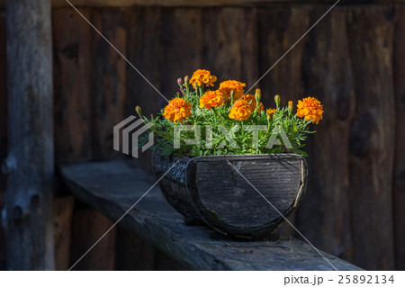 Flowers in the wooden pot Flowers in the wooden pot 25892134