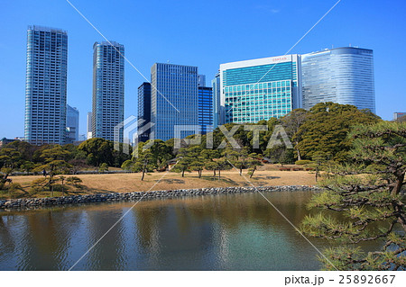 浜離宮恩賜庭園と汐留高層ビル群 25892667