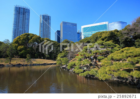 浜離宮恩賜庭園と汐留高層ビル群 25892671
