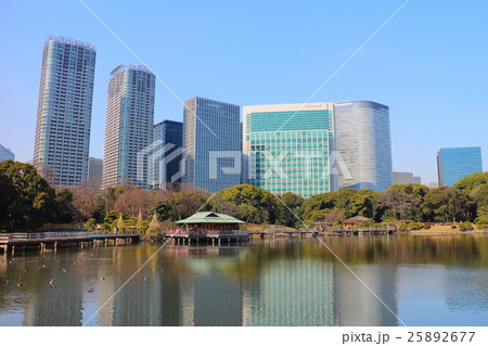 浜離宮恩賜庭園と汐留高層ビル群 25892677