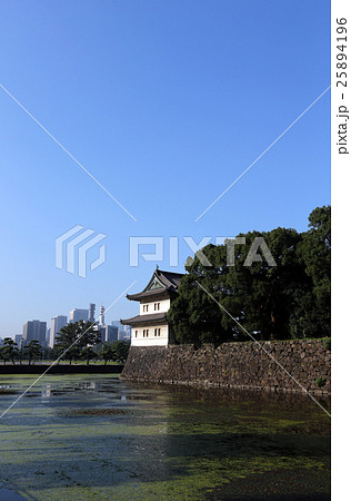 青空と桜田巽櫓 25894196