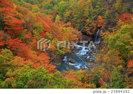 八幡平 紅葉の松川渓流 八幡平 紅葉の松川渓流 25894392