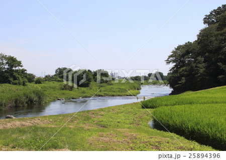 碓氷川(安中市岩井地区付近) 碓氷川(安中市岩井地区付近) 25894396