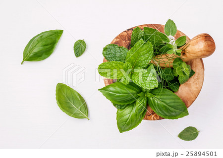 Alternative medicine fresh herbs. 25894501
