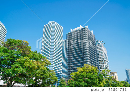 マンション・防鳥ネット マンション・防鳥ネット 25894751