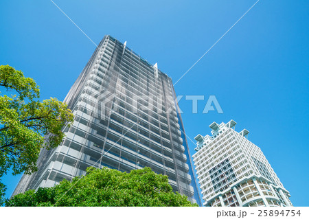 マンション・防鳥ネット マンション・防鳥ネット 25894754