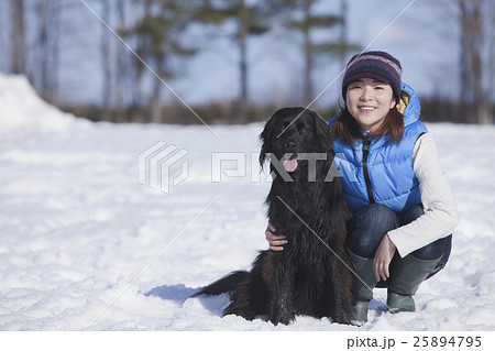 レトリバー レトリバー 25894795