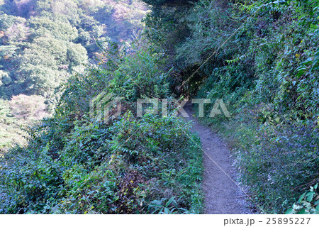 六甲山系七曲り 六甲山系七曲り 25895227