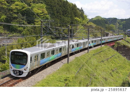 山岳区間を行く西武秩父線30000系電車（芝桜臨時ダイヤ） 25895637