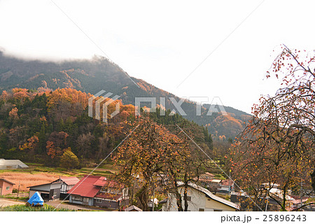 晩秋の里山 25896243