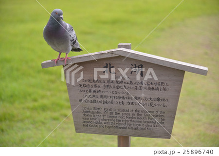 Spot Kuribayashi Park Japan 25896740