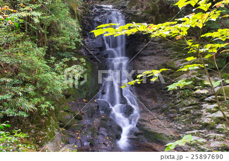 琵琶の滝 琵琶の滝 25897690