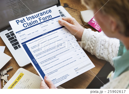 Pet Insurance Claim Document Form Concept Pet Insurance Claim Document Form Concept 25902617