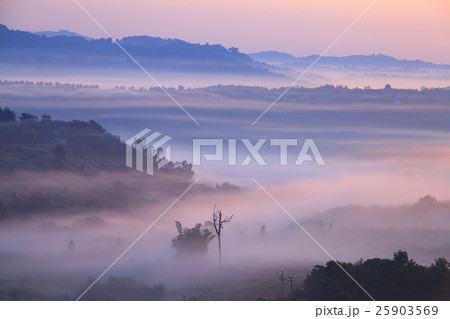 Fog in Khao Takhian Ngo View Point at Khao-kho Fog in Khao Takhian Ngo View Point at Khao-kho 25903569