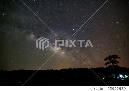 Milky Way Galaxy and Silhouette of Tree with cloud 25903929
