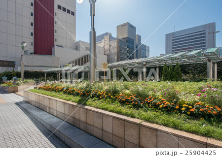 築地川銀座公園 25904425