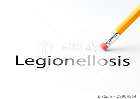 Pencil with eraser Pencil with eraser 25904554