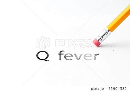 Pencil with eraser 25904582