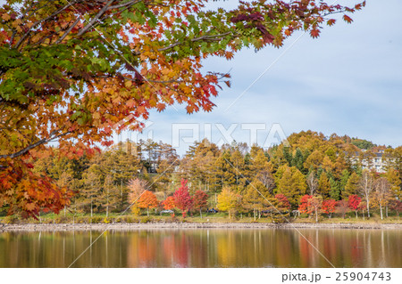 女神湖の紅葉 25904743