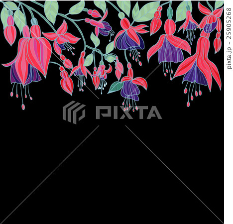 Beauty Floral texture with Fuchsia flowers 25905268