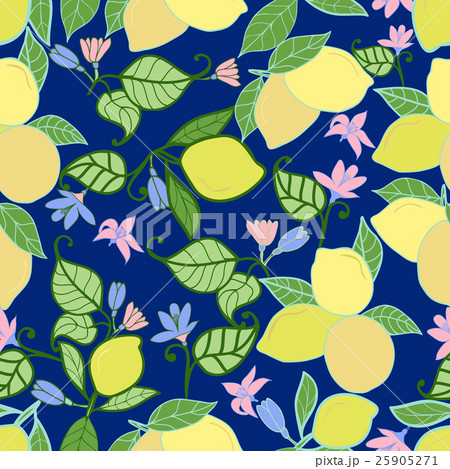 Vector hand drawn lemons with leaves pattern  25905271