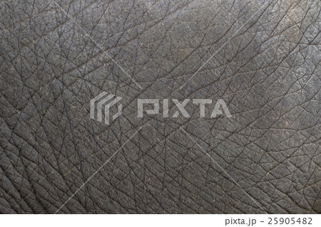 Elephant skin texture abstract background. Elephant skin texture abstract background. 25905482
