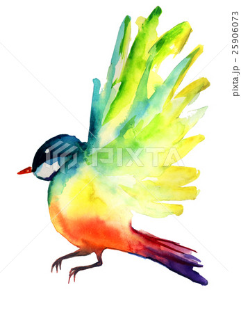 watercolor sketch of colored bird 25906073