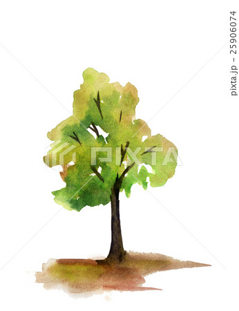 watercolor sketch: a tree on a white background 25906074