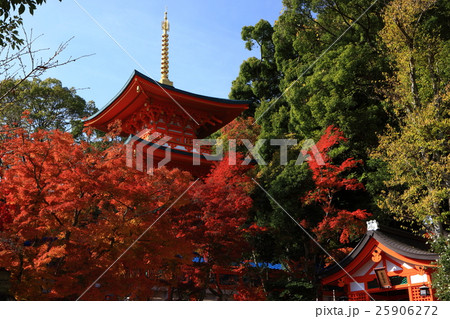 須磨寺の紅葉 須磨寺の紅葉 25906272