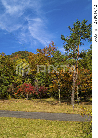 信州 長野県大町市秋の高瀬渓谷緑地公園の写真素材