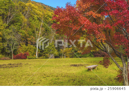 信州 長野県大町市秋の高瀬渓谷緑地公園の写真素材