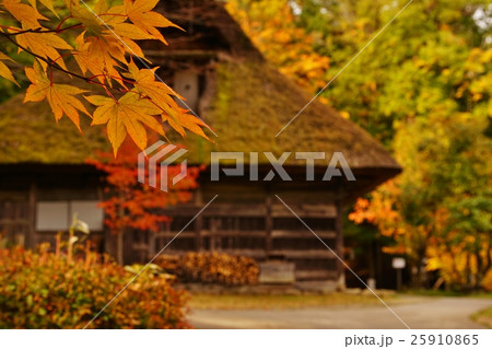 秋の飛騨路6 25910865