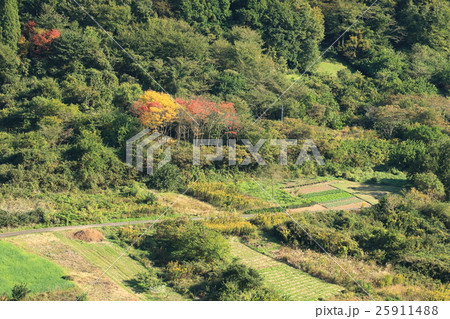 山間部「赤・黄色一点の紅葉風景」 25911488