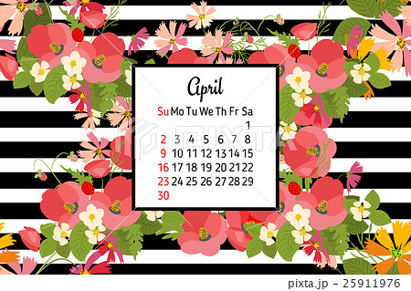 Floral background poppy and cosmos strawberries Floral background poppy and cosmos strawberries 25911976