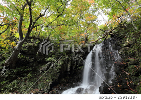 錦見の滝・秋201602 錦見の滝・秋201602 25913387