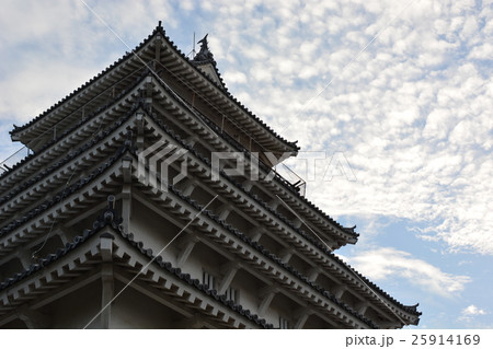 島原城 25914169