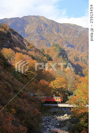紅葉の浅草岳と只見線 紅葉の浅草岳と只見線 25915454