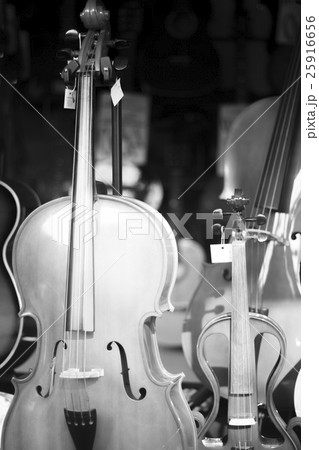 Double bass in music store 25916656