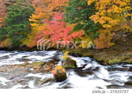 竜頭ノ滝、流れ、秋、紅葉 25920787