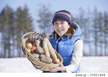 越冬野菜 25921808