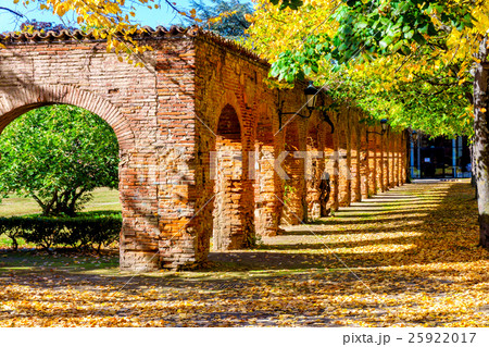 Colourful autumn and old brick wall in the park Colourful autumn and old brick wall in the park 25922017